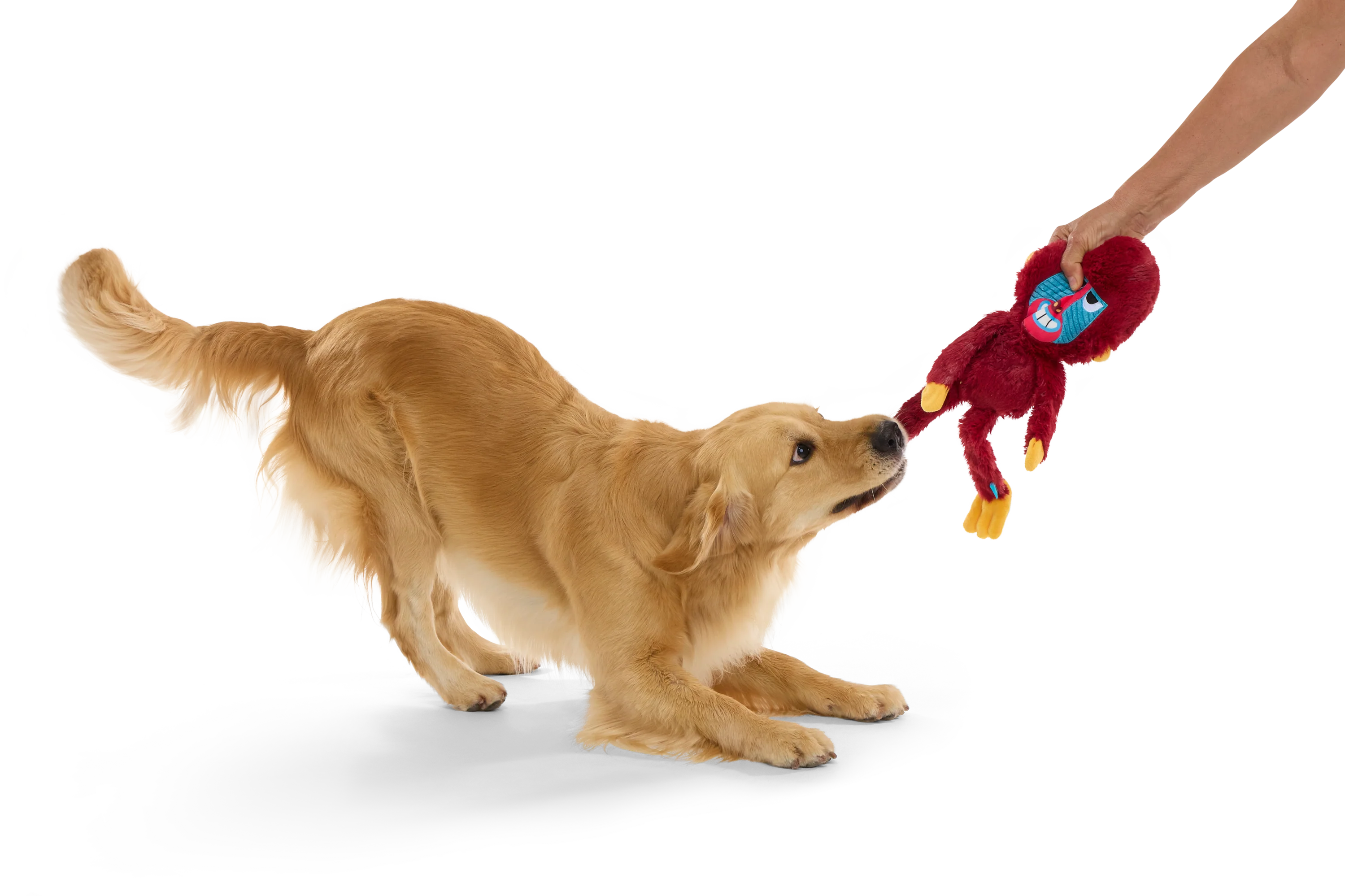Thumb 4