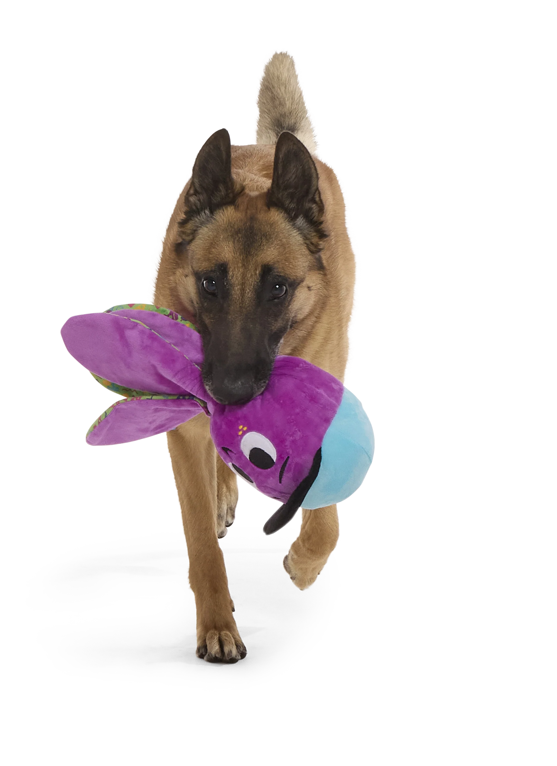 Thumb 3