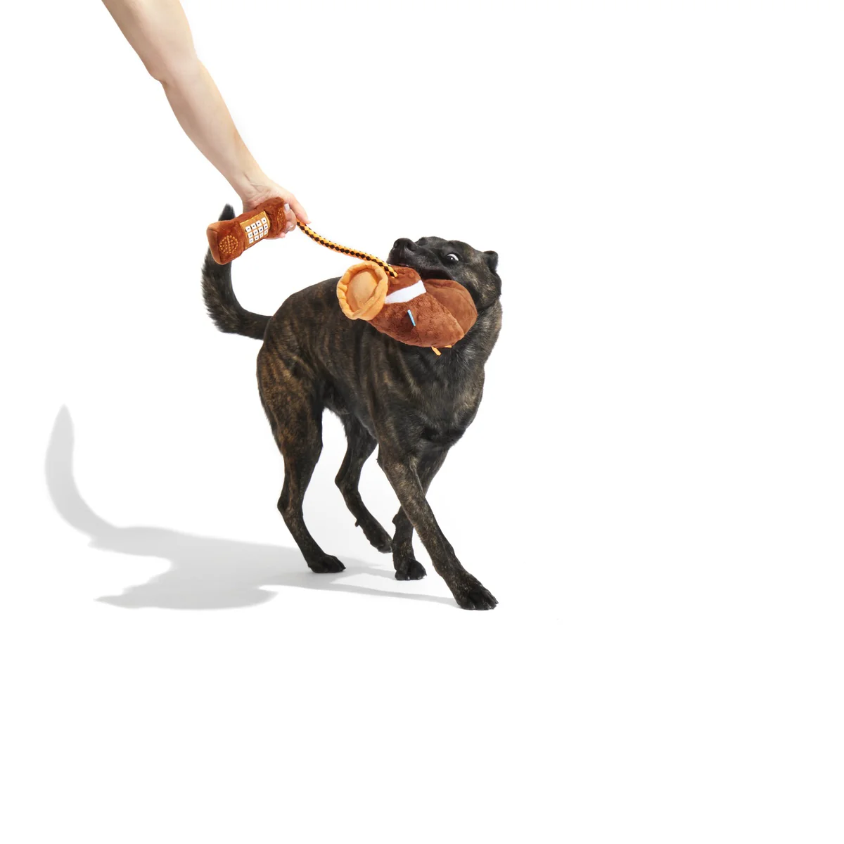 Thumb 3